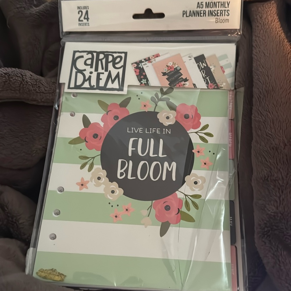Carpe Diem A5 Monthly Planner Insert